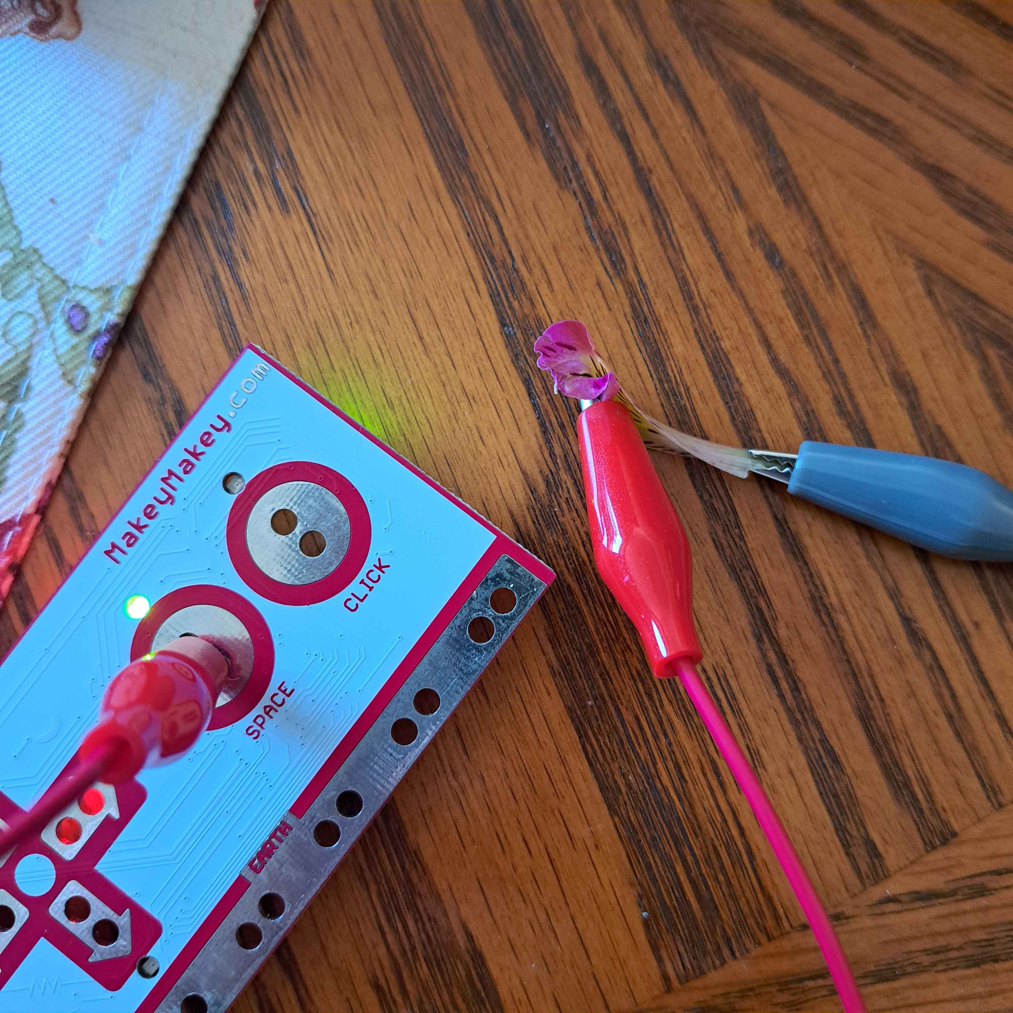 testing conductivity of foods (& plants)<br>flower petals are conductive