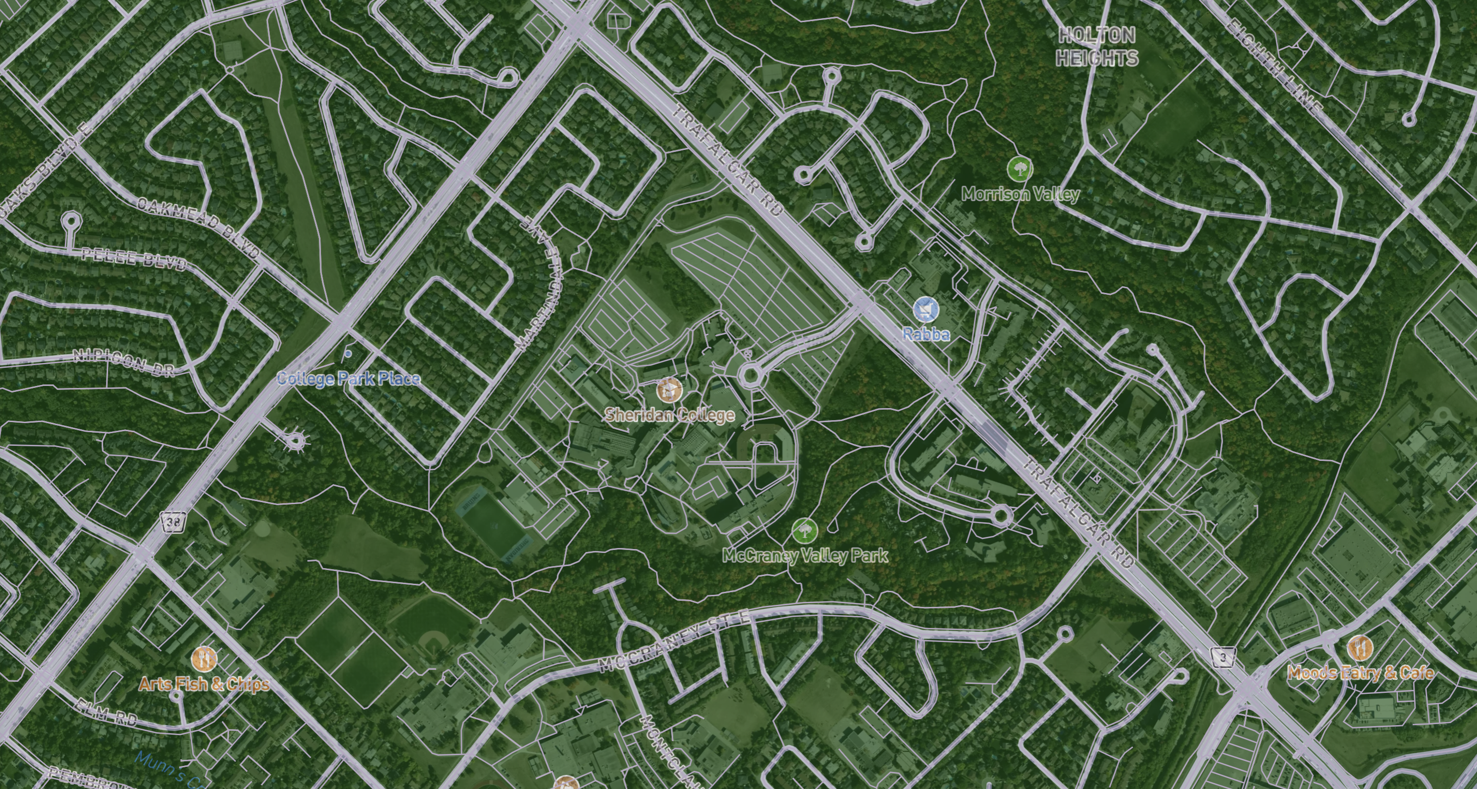using satellite view with other layers