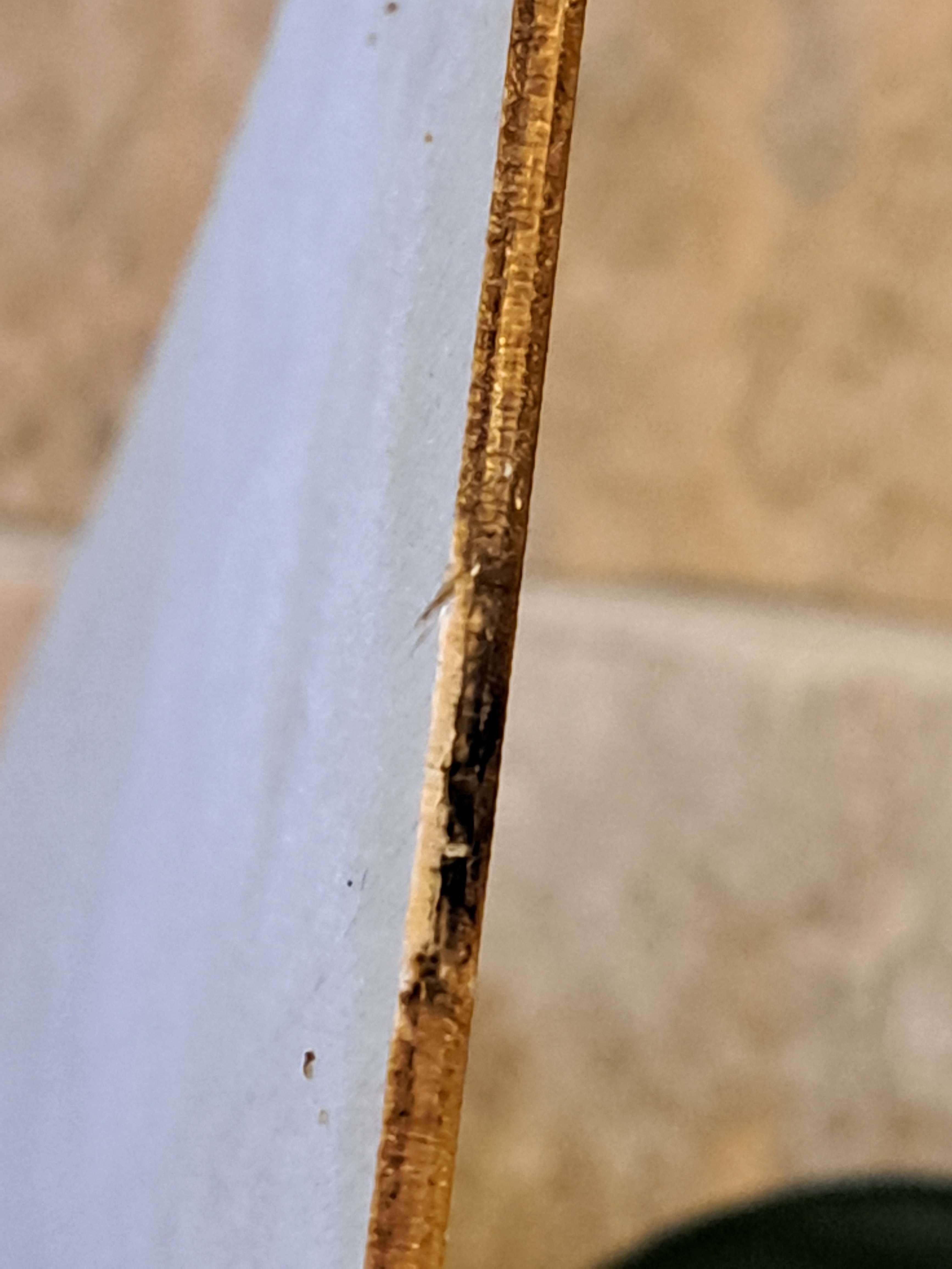 this section didn't cut through all the way<br>I had to use a box cutter